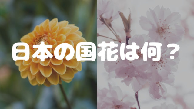 日本の国家は何 桜 菊 それとも別のもの 日本の言葉と文化
