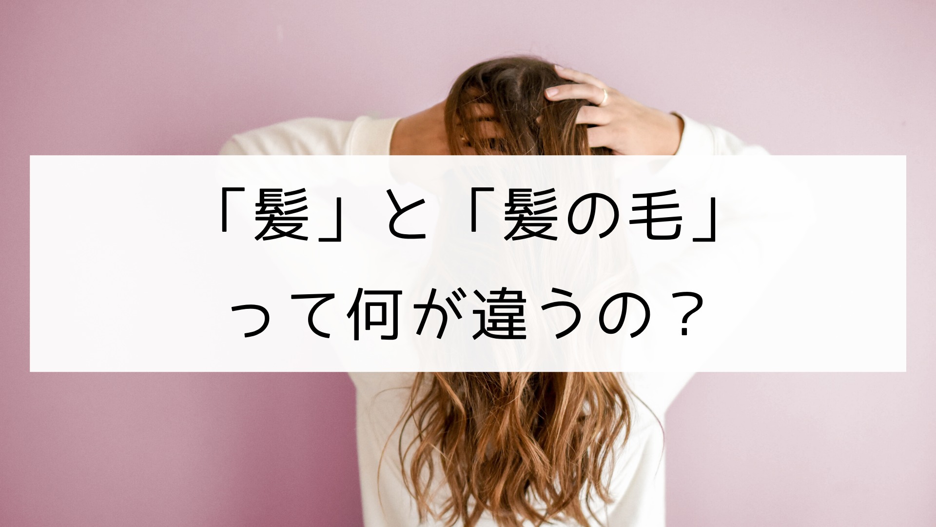言葉 髪 と 髪の毛 の違い 日本の言葉と文化